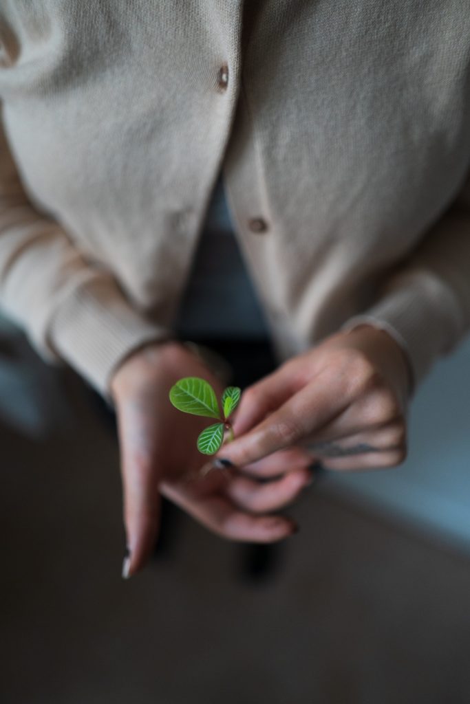 Person holding a plant